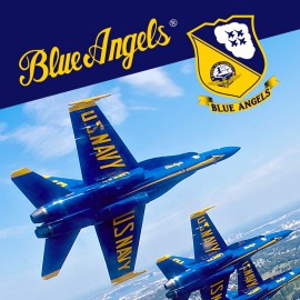 Blue Angels Aerobatic Flight Simulator PS4