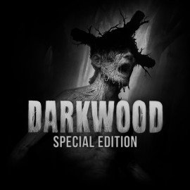 Darkwood – комплект специального издания PS4
