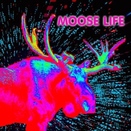 Moose Life PS4