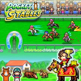 Pocket Stables PS4