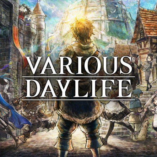 VARIOUS DAYLIFE PS4