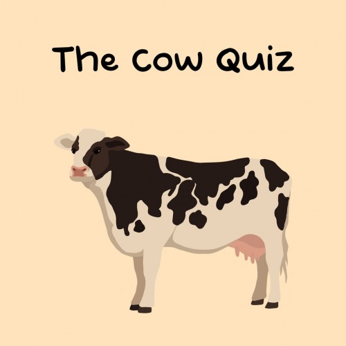 The Cow Quiz PS4