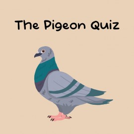 The Pigeon Quiz PS4