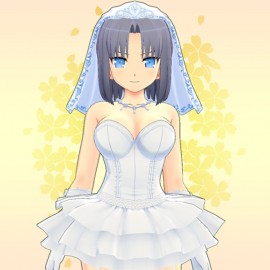 Costume Set 4 - SENRAN KAGURA ESTIVAL VERSUS PS4