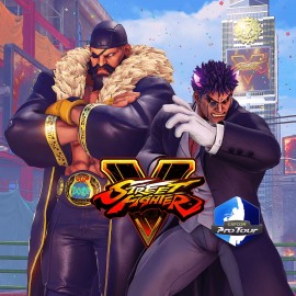 STREET FIGHTER V - Capcom Pro Tour: 2019 Premier Pass PS4
