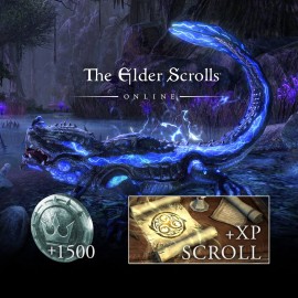The Elder Scrolls Online: Набор новичка PS4