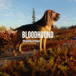 theHunter: Call of the Wild - Bloodhound PS4