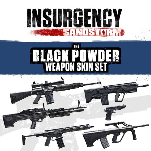 Insurgency ps4 on sale