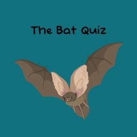 The Bat Quiz PS4