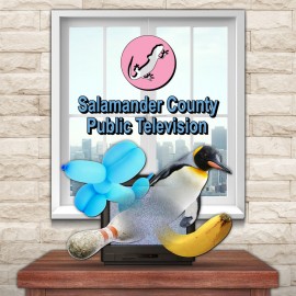 Salamander County Public Television PS4 & PS5