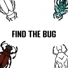 Find the Bug PS4