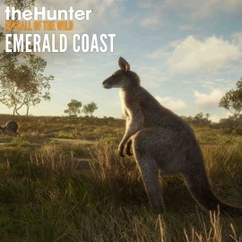 theHunter: Call of the Wild - Emerald Coast Australia PS4