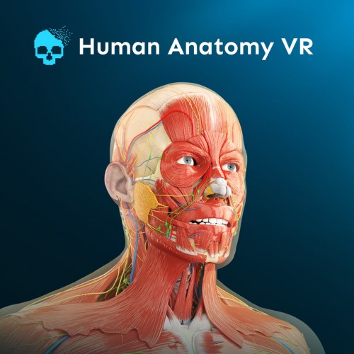 Human Anatomy PS5 VR2