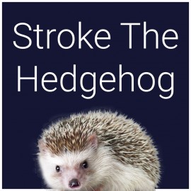 Stroke The Hedgehog PS5