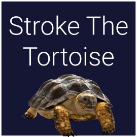 Stroke The Tortoise PS5