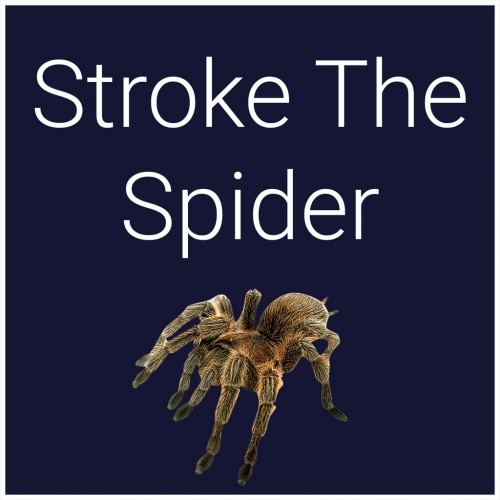 Stroke The Spider PS5