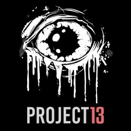 Project 13 PS5