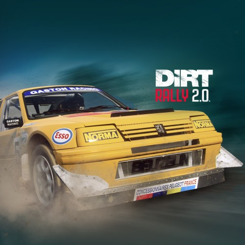 DiRT Rally 2.0 - Peugeot 205 T16 Rallycross PS4