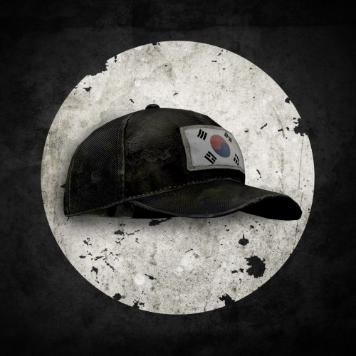 South Korean Flag Hat - The Last of Us Remastered PS4