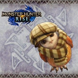 Monster Hunter Rise - "Out on the Hunt" Cohoot outfit PS4 & PS5