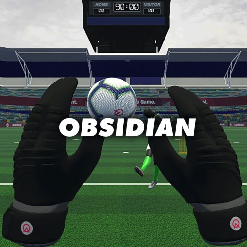 Obsidian Gloves (CleanSheet Football) PS5