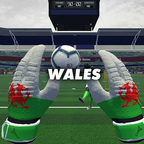 Wales Gloves (CleanSheet Football) PS5