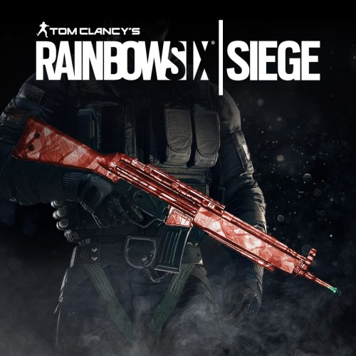 Tom Clancy's Rainbow Six Siege: Ruby weapon skin PS4