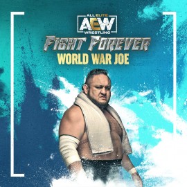 AEW: Fight Forever - World War Joe PS4 & PS5