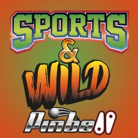 Sports & Wild Pinball PS4 & PS5