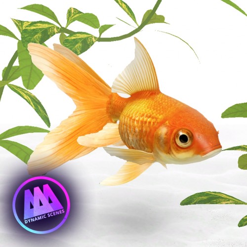 AAA Dynamic Scenes - Golden Fish Aquarium Dynamic Scene PS4 & PS5