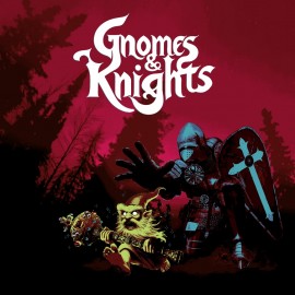 Gnomes and Knights PS4 (Индия)