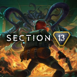 Section 13 PS5 (Индия)