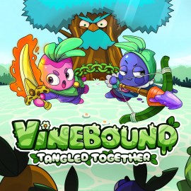Vinebound: Tangled Together PS4 (Индия)