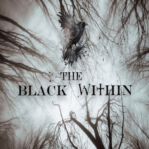 The Black Within PS5 (Индия)