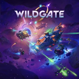 Wildgate PS5 (Индия)