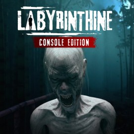 Labyrinthine - Console Edition PS5 (Индия)