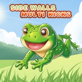 SIDE WALLS MULTI KICKS PS5 (Индия)