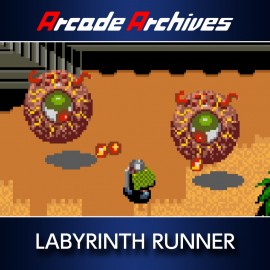 Arcade Archives LABYRINTH RUNNER PS4 (Индия)