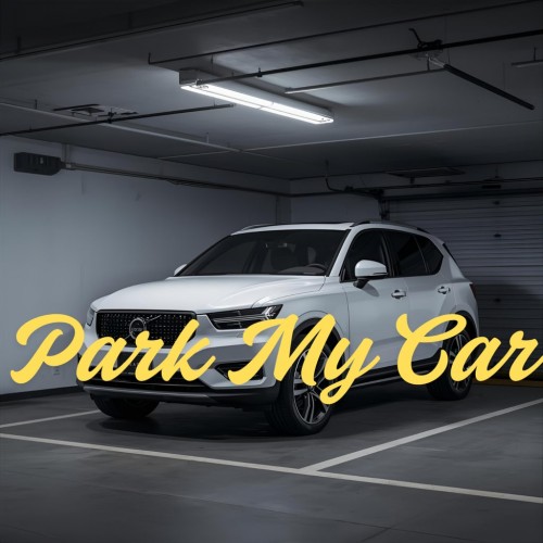 Park my car PS5 (Индия) Park my car PS5 (Индия)