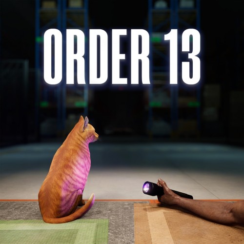 Order 13 PS5 (Индия)