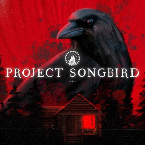 Project Songbird PS5 (Индия)