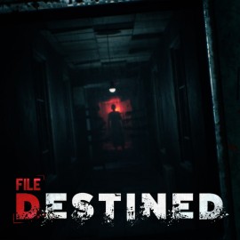 File Destined PS5 (Турция)