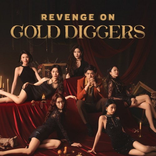 Revenge On Gold Diggers PS5 (Турция)