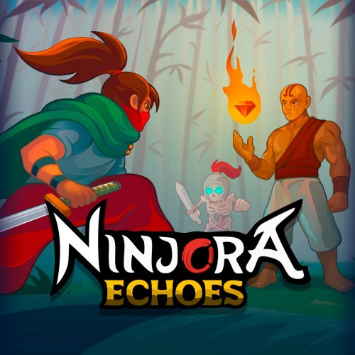 Ninjora Echoes PS4 & PS5 (Турция)
