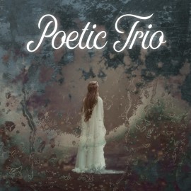 Poetic Trio PS4 (Турция)