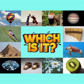 Which Is It? PS4 (Турция) Which Is It? PS4 (Турция)