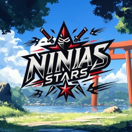 Ninja Stars PS4 (Индия)