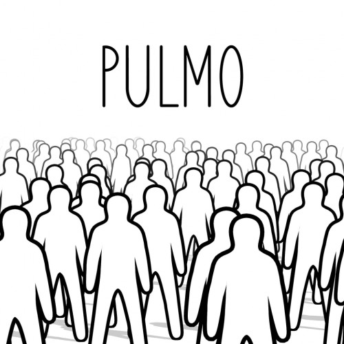 PULMO PS4 (Турция)