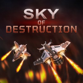 Sky of Destruction PS4 (Индия)