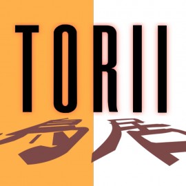 Torii PS5 (Индия) Torii PS5 (Индия)